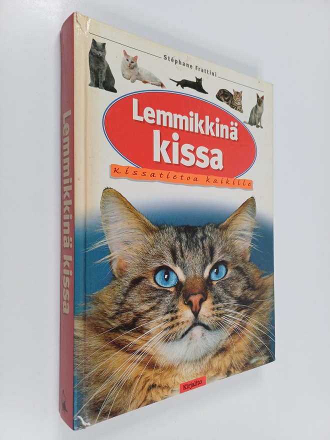 Stephane Frattini : Lemmikkinä kissa