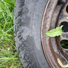 195/65 R15 renkaat ja vanteet, Volvo V70 mk2 - pikkukuva 3