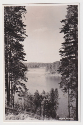 Punkaharju