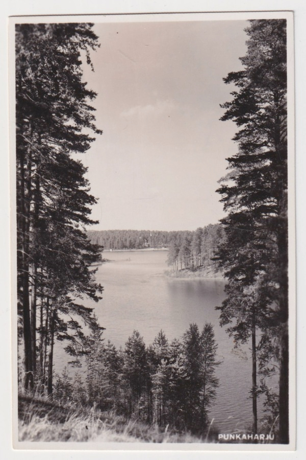 Punkaharju