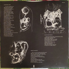 LP Traffic: When the eagle flies  ISLAND  ILPS 9273  (1974) - pikkukuva 3