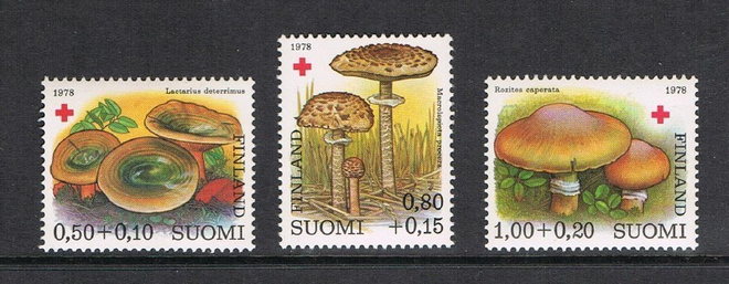 1978  PR (3)  ++