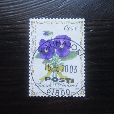 Orvokki 2003
