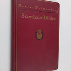 Bertel Gripenberg : Under fanan - pikkukuva 1