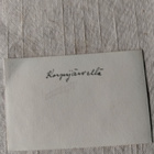 sotavalokuva kaatuneita sotilaita - pikkukuva 2