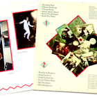 STRAY CATS - LP ORIG. 1981 - pikkukuva 2