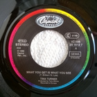 Tina Turner - What You Get Is What You See 7" Single - pikkukuva 3