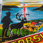 Kuvienmukainen-ja kuntoinen viiri keräilijälle! - pikkukuva 5