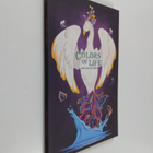 Emiliana Salomon : Colors of life - pikkukuva 1