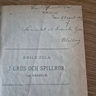 Zola: I grus och spillror (v. 1892) - pikkukuva 2