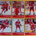 2024-25 Blueline Series 1 Sport Team Set 12 korttia (145-156 - pikkukuva 2