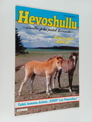 Hevoshullu 24/1984