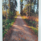 Matti Eronen : Minun polkuni, minun tieni (signeerattu, t... - pikkukuva 2