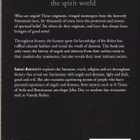 Sarah Bartlett: A Brief History of Angels and Demons (2011) - pikkukuva 2