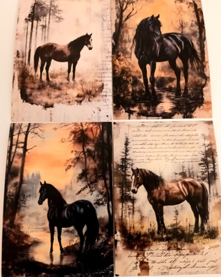 Postikortit HEVOSET / 4 kpl -setti