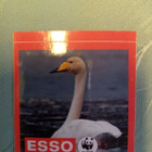 ESSO WWF Joutsen (tarra) - pikkukuva 1