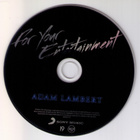 Adam Lambert - For Your Entertainment (2010,cd) - pikkukuva 3