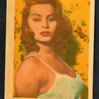 Keräilykuva - Sophia Loren P. 17 - pikkukuva 1