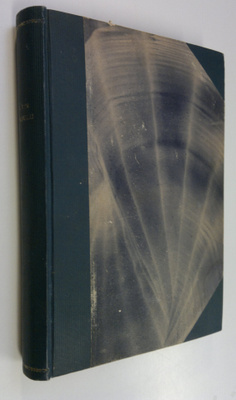 Viipurin realikoulu 1874-1888, Alkeiskoulu 1884-1895, Suo...