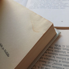 Robert M. Pirsig - Lila (sid.) - pikkukuva 2