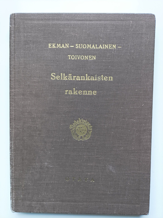 Selkärankaisten rakenne