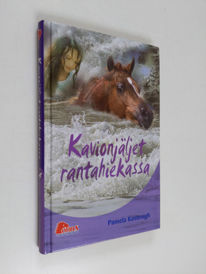 Pamela Kavanagh : Kavionjäljet rantahiekassa