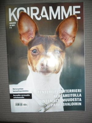 Koiramme 10/2021 lehti