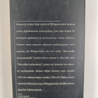 Ludwig Wittgenstein : Sininen ja ruskea kirja : filosofis... - pikkukuva 2