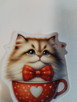 Kissa tarra.