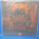 MIDNIGHT BETROTHED - BEWITCHED BY DESTINY'S GAZE - M-/M LP - pikkukuva 2
