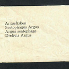 ALE - EO 5806 - Nelkku - Kauniit kalat 6 - Agathon!!! - pikkukuva 2