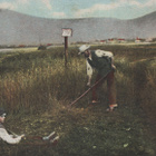 1907 "Jouluinen" kortti Oulusta Turkuun - pikkukuva 1