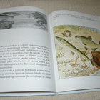 Elsa Beskow Pikku-Tommin kalaretki - pikkukuva 3