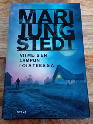 Mari Jungstedt - Viimeisen lampun loisteessa