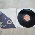 Joe Ely LP Dig All Night - pikkukuva 2