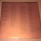 SVEN WOLLTER NÅN SORTS MAN LP - pikkukuva 3