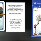 sek, Lintu-pelikortit - uudet - pikkukuva 1