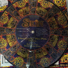 Skin - How Lucky Are You UK 1996 EX+ 7" KUVALEVY - pikkukuva 2