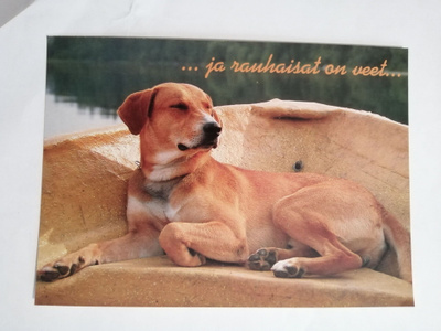 ...ja rauhaisat on veet.......