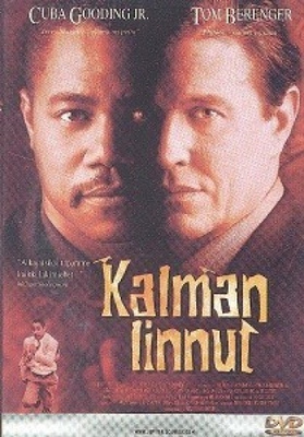 Kalman linnut (DVD)