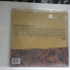 RADIOINACTIVE - PYRAMIDI US 2001 1ST PRESS EX+/EX- LP - pikkukuva 2