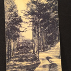 VANHA Postikortti Punkaharju 1927 - pikkukuva 1