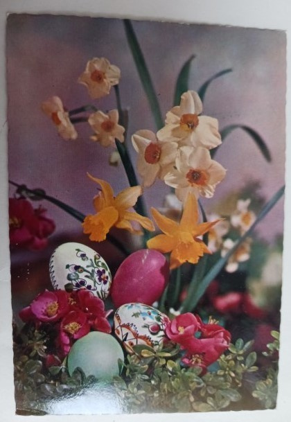 Pääsiäismunia ja narsisseja, p. 1982 Suomeen