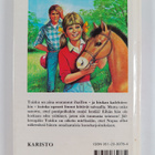 Marie Louise Rudolfsson : Tuisku yrittää lentää - pikkukuva 2