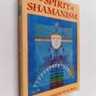 Roger N. Walsh : The Spirit of Shamanism - pikkukuva 1