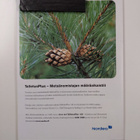 Metsälehti Makasiini 2/2003 - pikkukuva 2