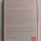 Curator vol 1: culture of snowboarding - pikkukuva 4