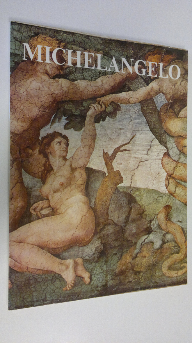 Froukje Hoekstra : Michelangelo