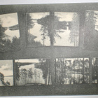 VANHA Postikortti Punkaharju 1906 - pikkukuva 1