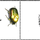 Ål 2006 Kovakuoriaisia 0,40 € välilöpari logo EPL LaPe 259 - pikkukuva 2
